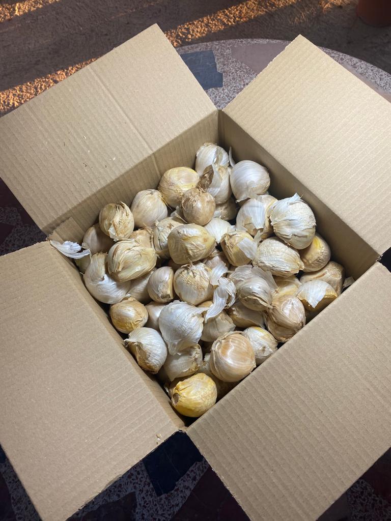 Caja con pedido de dientes de ajo elefante listo para enviar